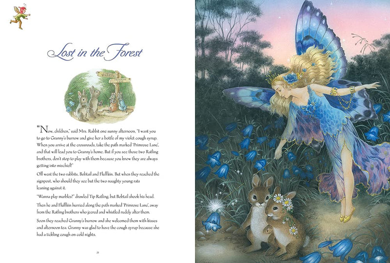 A Fairyland Treasury Paperback