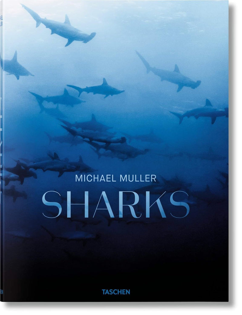 Latest Edition Sharks, Michael Muller RRP $39.99