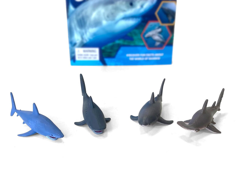 Sharks Pocket Explorers with Figurines and Fact Book