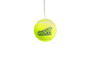 Cooee Swing Tennis