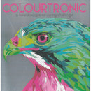 Colourtronic Colour by Numbers RRP $39.99