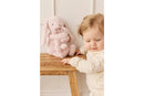 Snuggle Bunnies: Frankie the Hugging Bunny - Blossom 30cm Plush