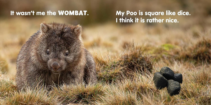 Was It You Who Did That Poo?
