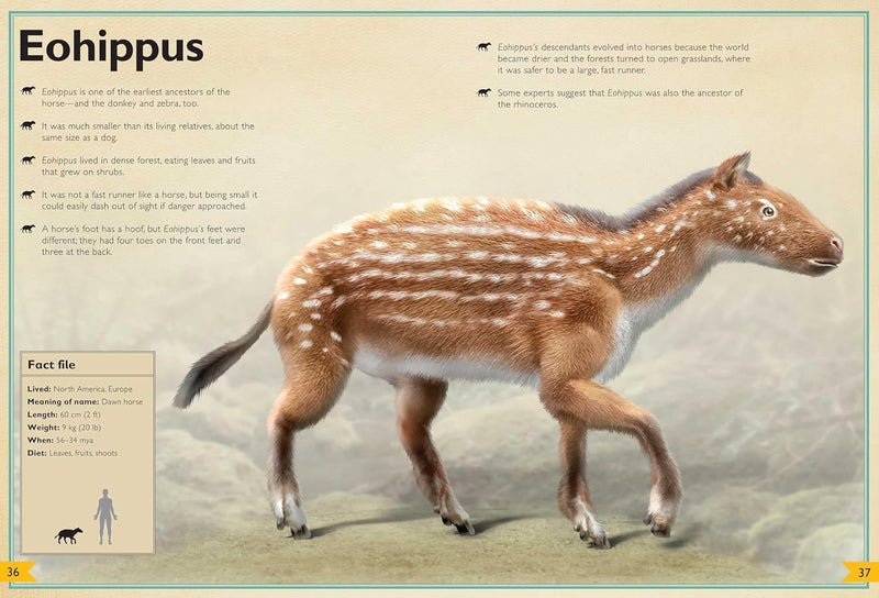 Magnificent Book of Prehistoric Beasts