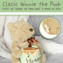 WTP Classic Pooh Waggie Musical