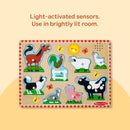 Around The Farm Sound Puzzle | Melissa & Doug RRP $49.99