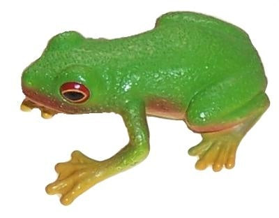 Science and Nature 75342: Red-eyed Green Tree Frog Small