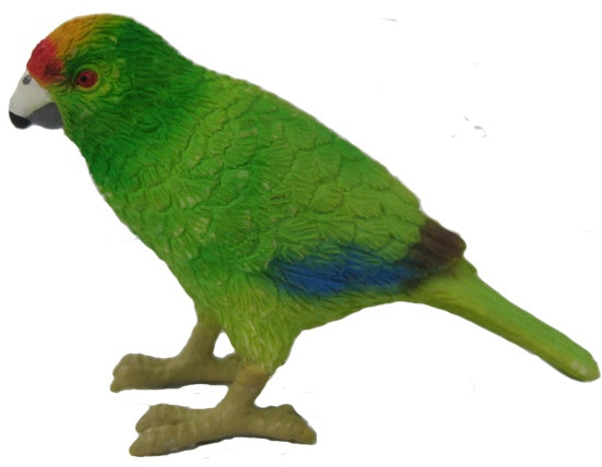 Science and Nature 75345: Kakariki Small