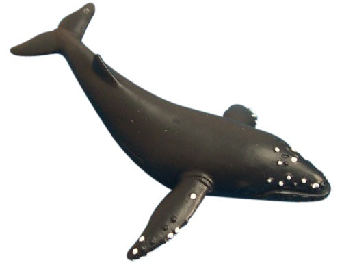 Science and Nature 75385: Humpback Whale Small
