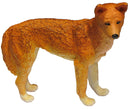 Science & Nature | Dingo large
