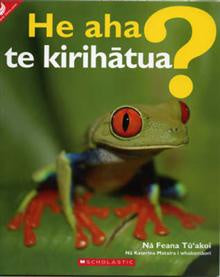 what is an amphibian? maori RRP $15.99