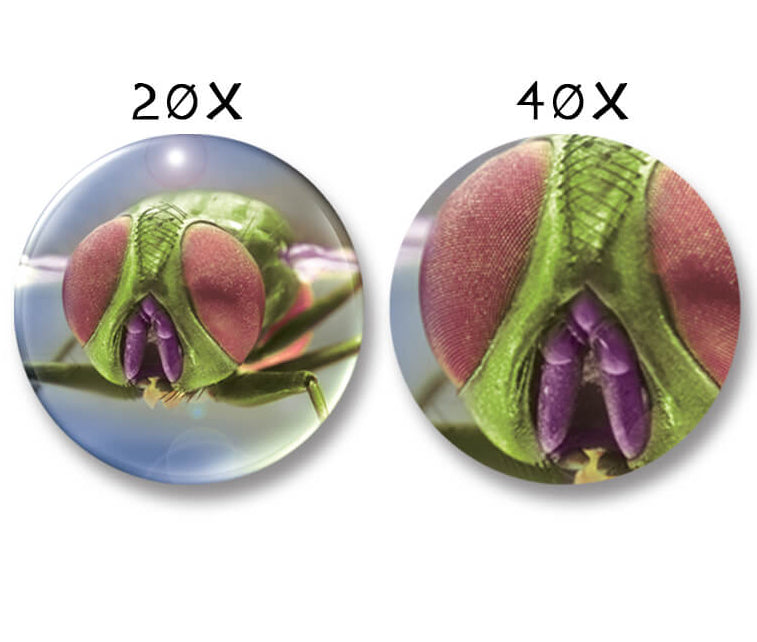 Science and Nature: Zoomscope
