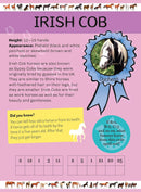 My Poster Book Horses & Ponies RRP $24.99