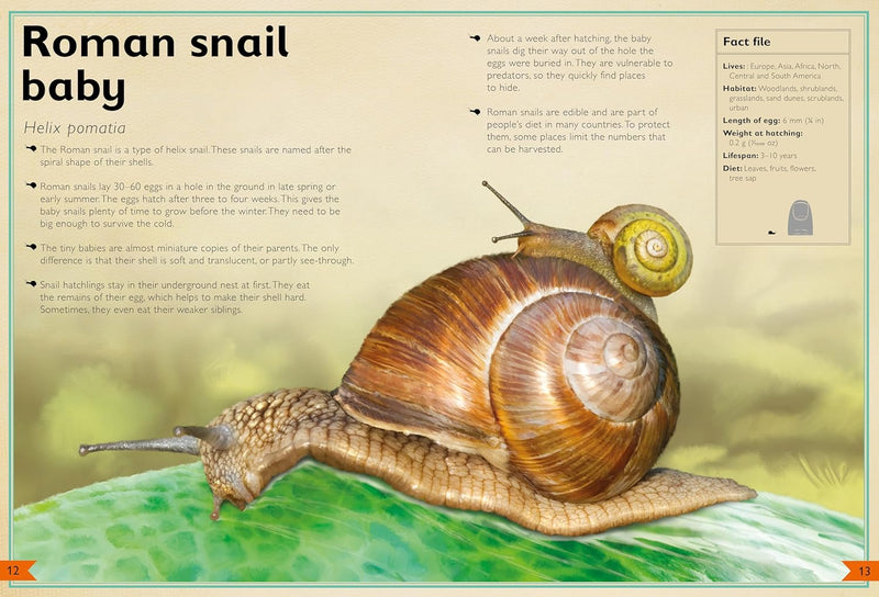 Magnificent Book of Baby Animals