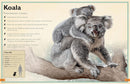 Magnificent Book of Animals RRP $34.99