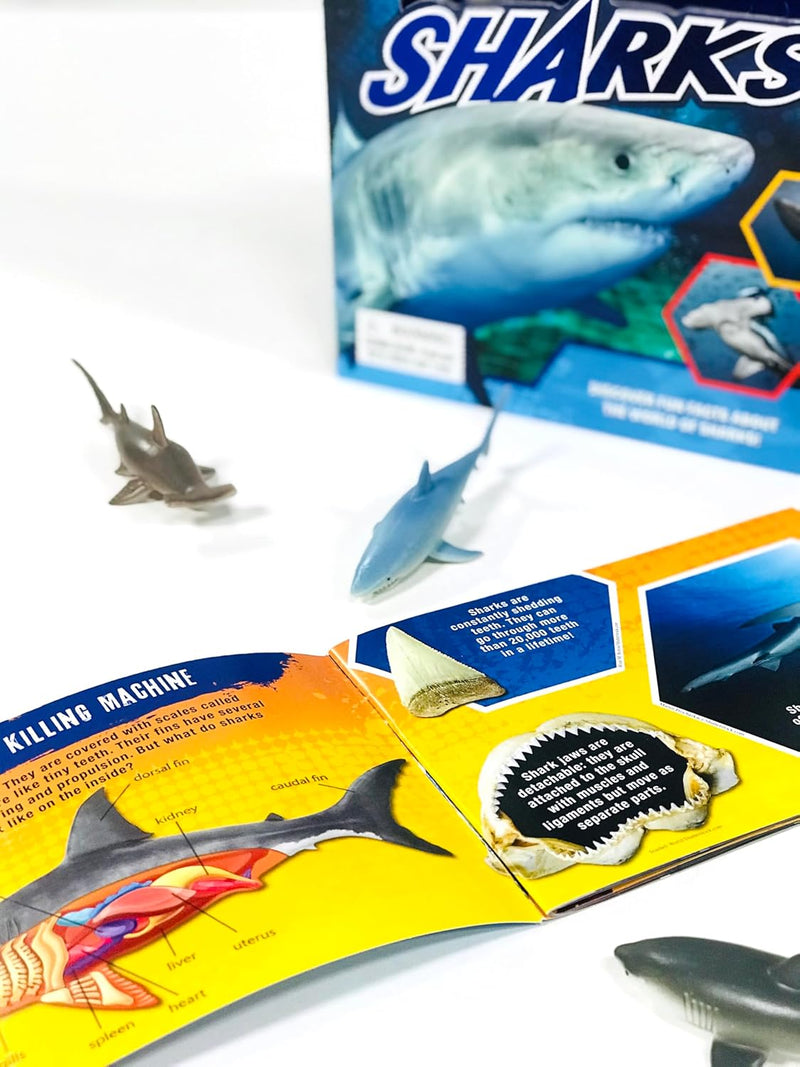 Sharks Pocket Explorers with Figurines and Fact Book