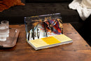 Bug World: A 3-D Pop-Up Book