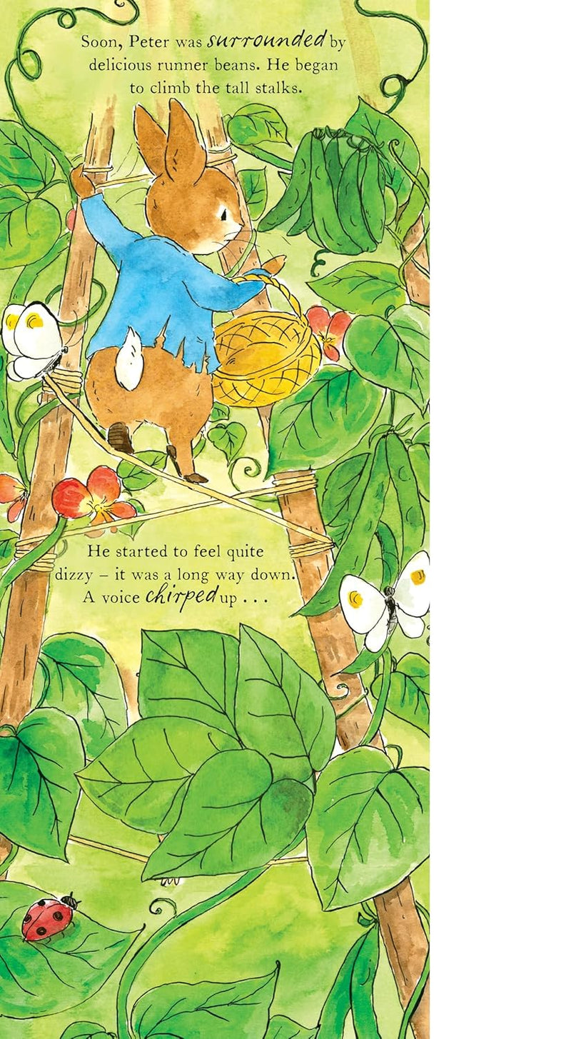 The World of Peter Rabbit: Peter Rabbit Gets Stuck!