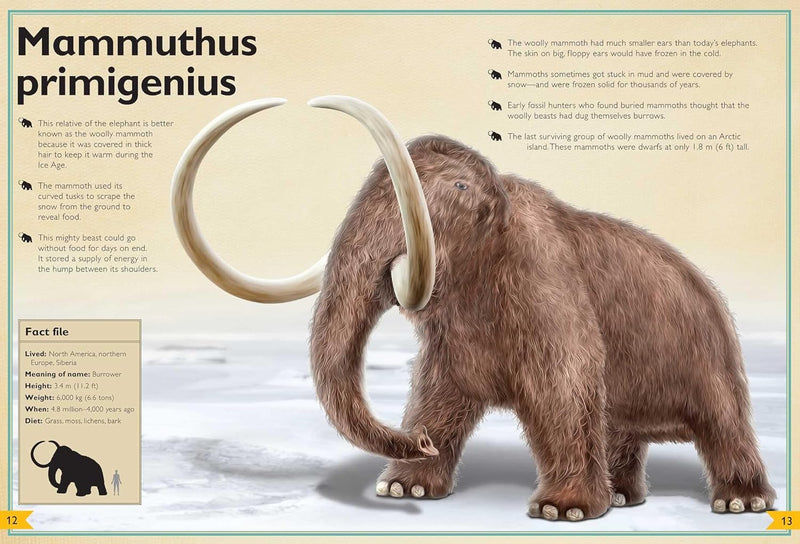 Magnificent Book of Prehistoric Beasts