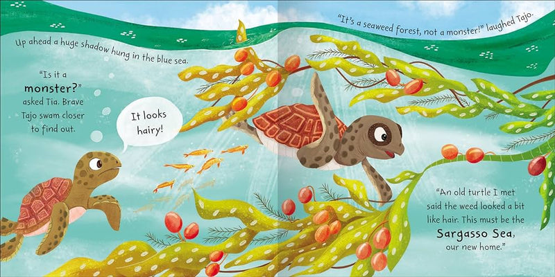 Tia the Turtle Paperback