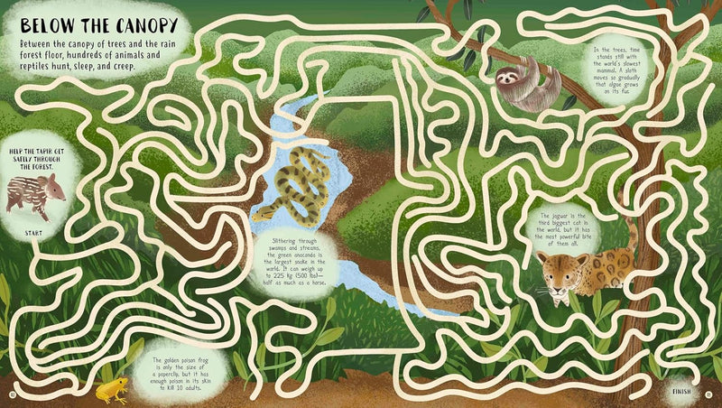 Amazing Mazes Activity Book