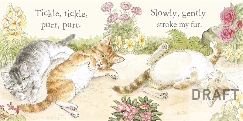 Peter Rabbit: Tickle Tickle Peter! Board book