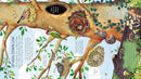 Usborne | Look Inside Animal Homes LTF