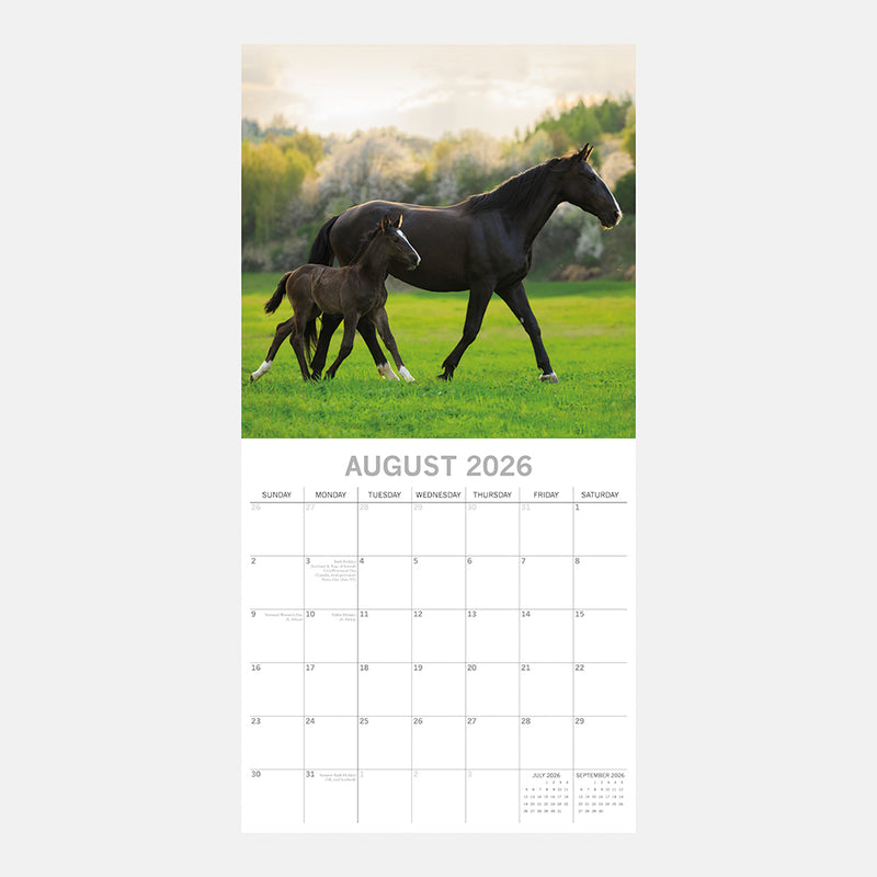 2026 Square Calendar Baby Animals