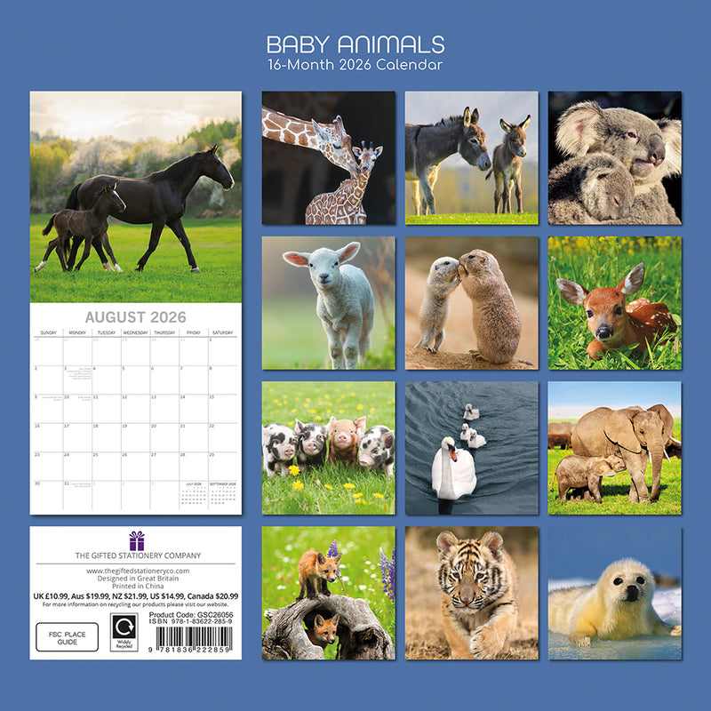 2026 Square Calendar Baby Animals