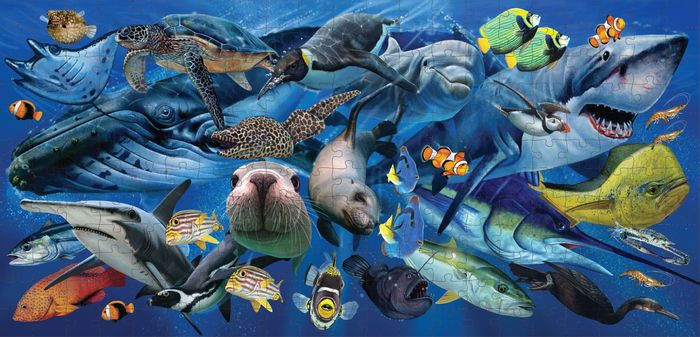 Garry Flemings Sea Animals Book & Puzzle