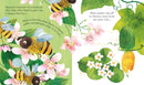 Usborne | Peep Inside a Beehive LTF