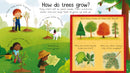 Usborne | Why Do We Need Trees?