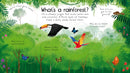 Usborne | Why Do We Need Trees?