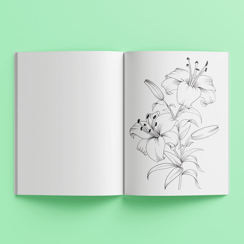 Mindwaves Calming Colouring - Botanicals