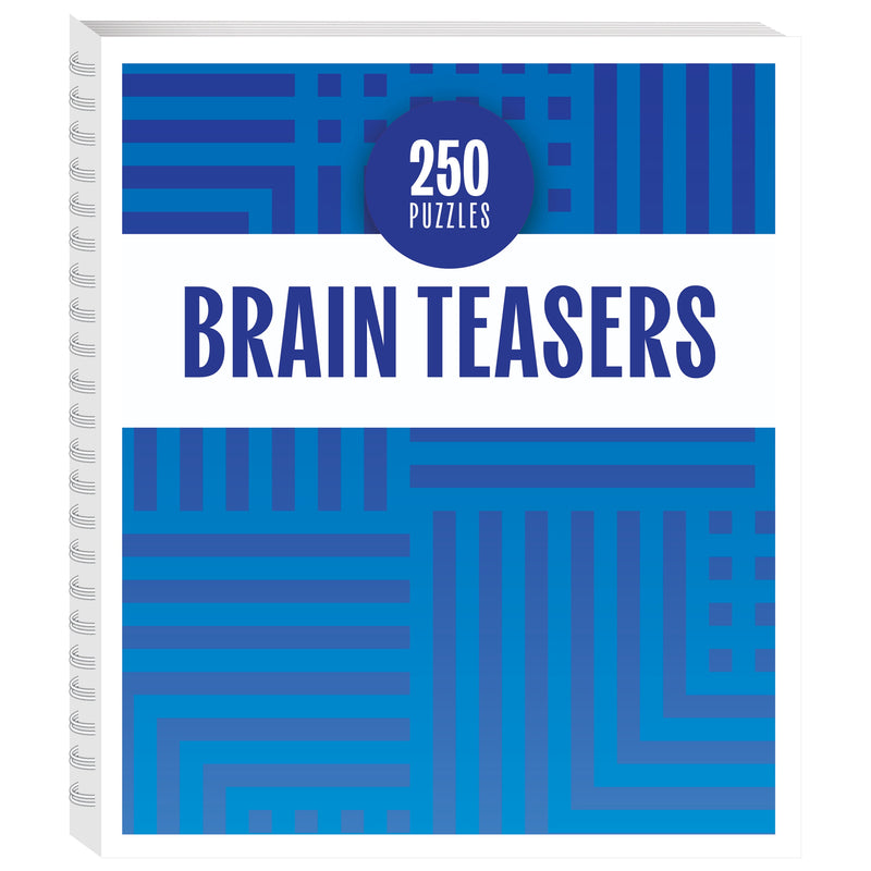250 Puzzles Brain Teasers Book RRP $14.99