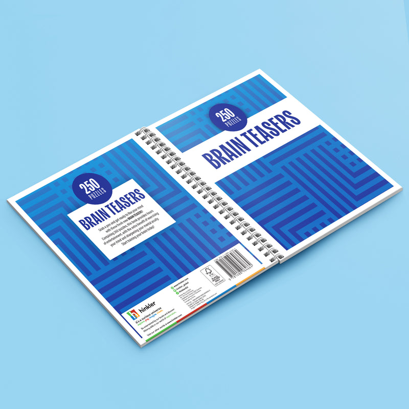 250 Puzzles Brain Teasers Book RRP $14.99
