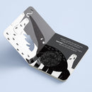 First Steps Rawr Rawr! Touch and Feel Board Book