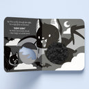 First Steps Rawr Rawr! Touch and Feel Board Book