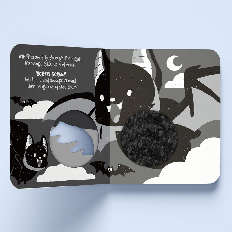First Steps Rawr Rawr! Touch and Feel Board Book