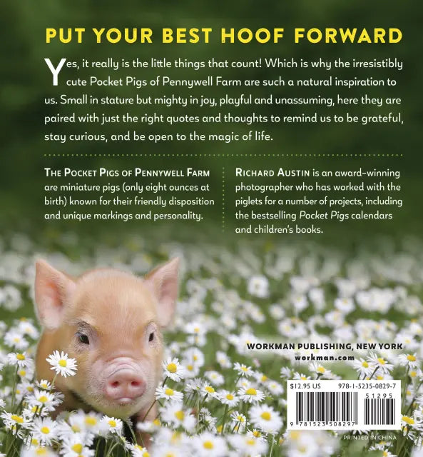 It's the Little Things