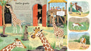 Usborne | Look Inside a Zoo LTF