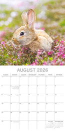 Cute Bunnies Square Calendar 2026