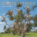 2026 Square Calendar Goats in Trees