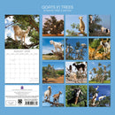 2026 Square Calendar Goats in Trees