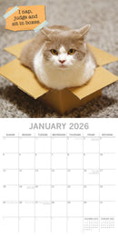 2026 Cat Shaming - Square Wall Calendar
