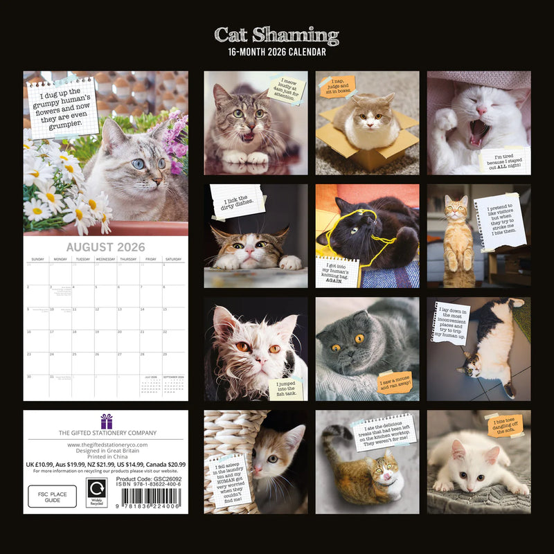 2026 Cat Shaming - Square Wall Calendar