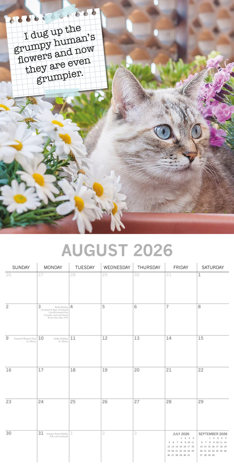 2026 Cat Shaming - Square Wall Calendar