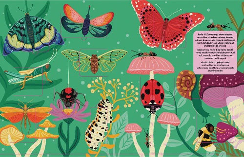 Lift The Fact Insects