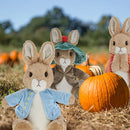 Beatrix Potter Peter Rabbit Extra Large Soft Toy 38cm