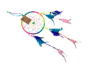 Rainbow Dream Catcher 16cm Diameter